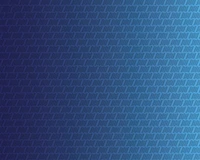 Lorum Ipsum