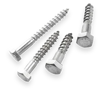 Coach Screws