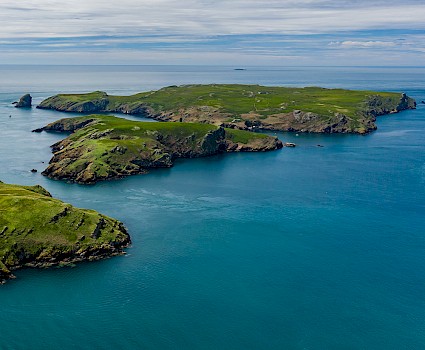 Skomer Island South West Wales